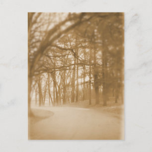 In den Nebel - Postkarte