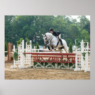 In den Sieger-Kreis Poster