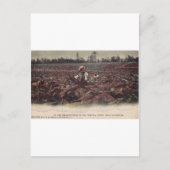 In den Tabakfeldern der alten Virginia Postkarte (Vorderseite)