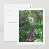 In den Wald: Cheshire, England Postkarte (Vorne/Hinten)
