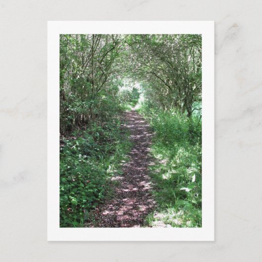 In den Wald: Cheshire, England Postkarte (Vorderseite)