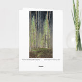 "In den Wald", digital transformiert Karte (Rückseite)