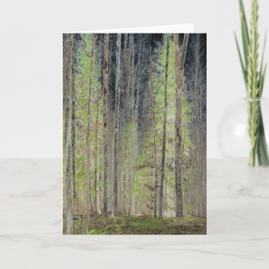 "In den Wald", digital transformiert Karte (Vorderseite)