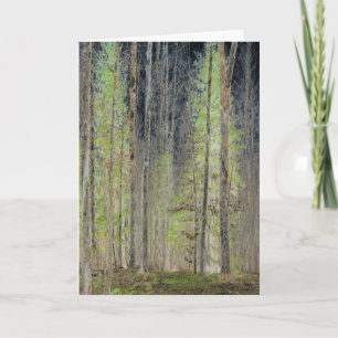 "In den Wald", digital transformiert Karte