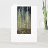 "In den Wald", digital transformiert Karte (Rückseite)