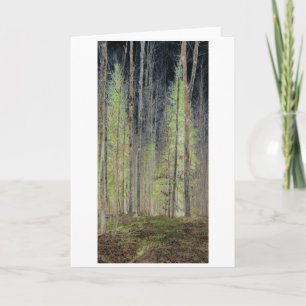 "In den Wald", digital transformiert Karte