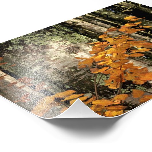 In den Wald Fotodruck (Ecke)