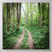 In den Wald gehen Poster (Vorne)