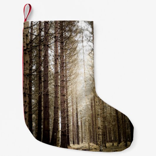 IN DEN WALD KLEINER WEIHNACHTSSTRUMPF (Vorderseite)