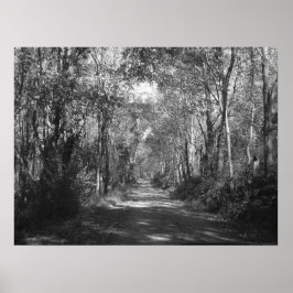 "In den Wald" Poster