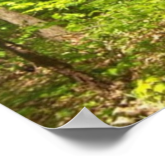 In den Wald Poster (Ecke)