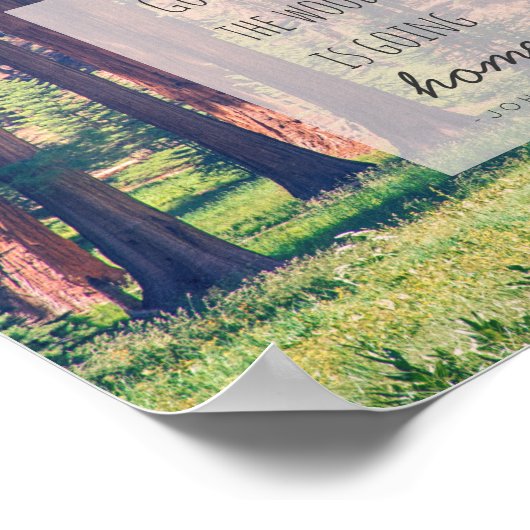 In den Wald | Poster (Ecke)