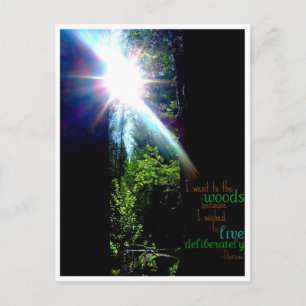 In den Wald Postkarte