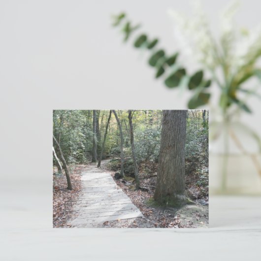 In den Wald Postkarte (Stehend Vorderseite)