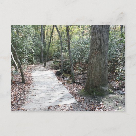 In den Wald Postkarte (Vorderseite)