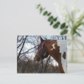 In den Wald schaue ich Postkarte (Stehend Vorderseite)