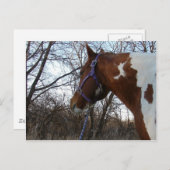 In den Wald schaue ich Postkarte (Vorne/Hinten)