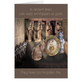 In der Antike wurden Katzen als Götter verehrt... (Vorne)