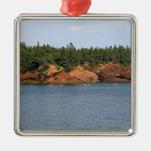 In der Bay of Fundy in St. Silbernes Ornament (Vorne)
