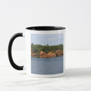 In der Bay of Fundy in St. Tasse