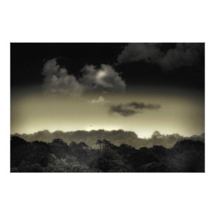 In der Cloud aufbewahrt Fotodruck