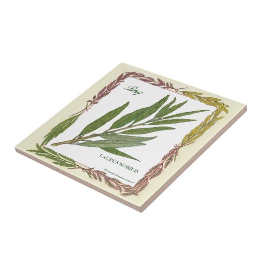 In der Garten ~ Lorbeerblatt-Fliese Fliese (Seite)