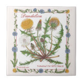 In der Garten ~ Löwenzahn-Fliese Fliese (Vorderseite)