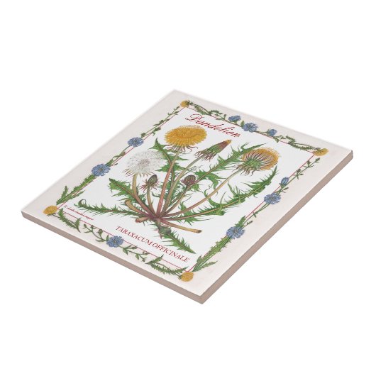 In der Garten ~ Löwenzahn-Fliese Fliese (Seite)