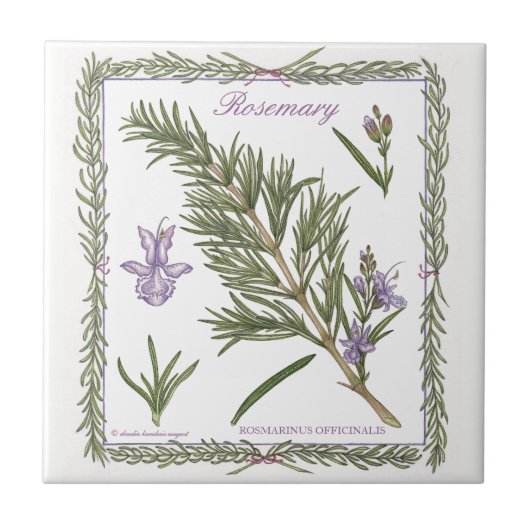 In der Garten ~ Rosemary-Fliese Fliese (Vorderseite)