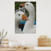 In der Geflügelhaltung Poster (Küche)