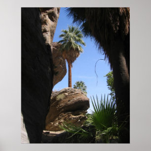 In der indischen Schlucht wandern, Palm Springs, Poster