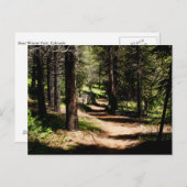 In der Kiefern-Postkarte - wandernd nahe Postkarte (Vorne/Hinten)