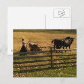 In der Landwirtschaft Postkarte (Vorne/Hinten)
