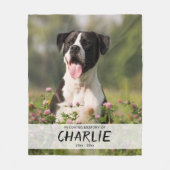 In der Liebe Erinnerung an Hunde-Gedächtnis Foto B Fleecedecke (Vorderseite)