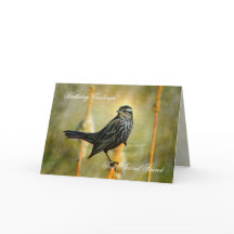 In der Limelight Geburtstagsgrußkarte