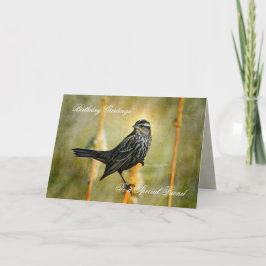 In der Limelight Geburtstagsgrußkarte Karte