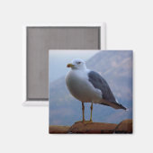 In der Mauer posiert Möwe Magnet (Vorderseite/Rückseite)