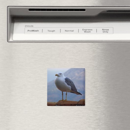 In der Mauer posiert Möwe Magnet (In Situ (Geschirrspüler))