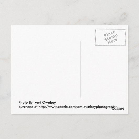 In der Nacht Postkarte (Rückseite)