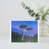 In der Nähe der DMZ Südkorea Postkarte (Stehend Vorderseite)