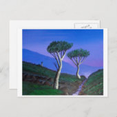 In der Nähe der DMZ Südkorea Postkarte (Vorne/Hinten)