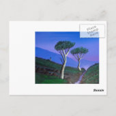 In der Nähe der DMZ Südkorea Postkarte (Rückseite)