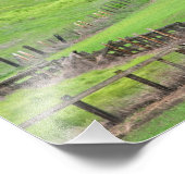 In der Puppe. Fotodruck (Ecke)