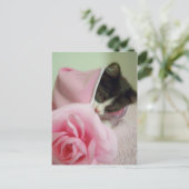 in der Puppendecke Kitten Postkarte (Stehend Vorderseite)