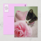 in der Puppendecke Kitten Postkarte (Vorne/Hinten)