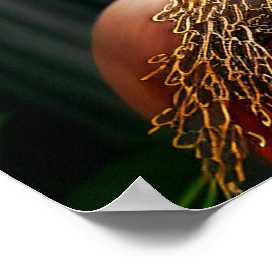 In der Regierung von Jaqweshia Poster (Ecke)