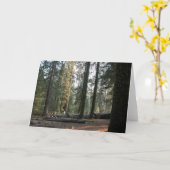 In der Sierra Neveda Karte (Gelbe Blume)