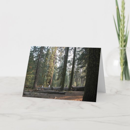 In der Sierra Neveda Karte (Vorderseite)