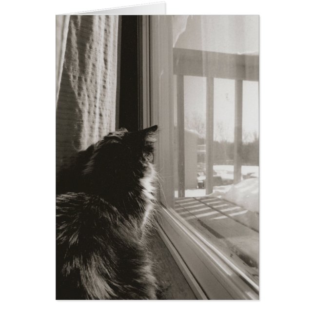 In der Sonne gewartet (Vorne)