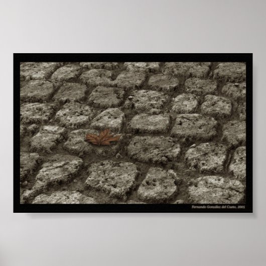 In-der-welt-sein Poster (Vorne)